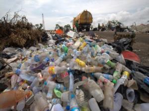 personal training, fitness trainer, weight loss, fat loss, fitness classes, bootcamp classes